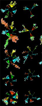 Random Boolean Networks - Andrew Wuensche