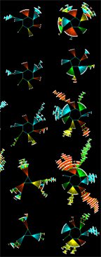 Random Boolean Networks - 